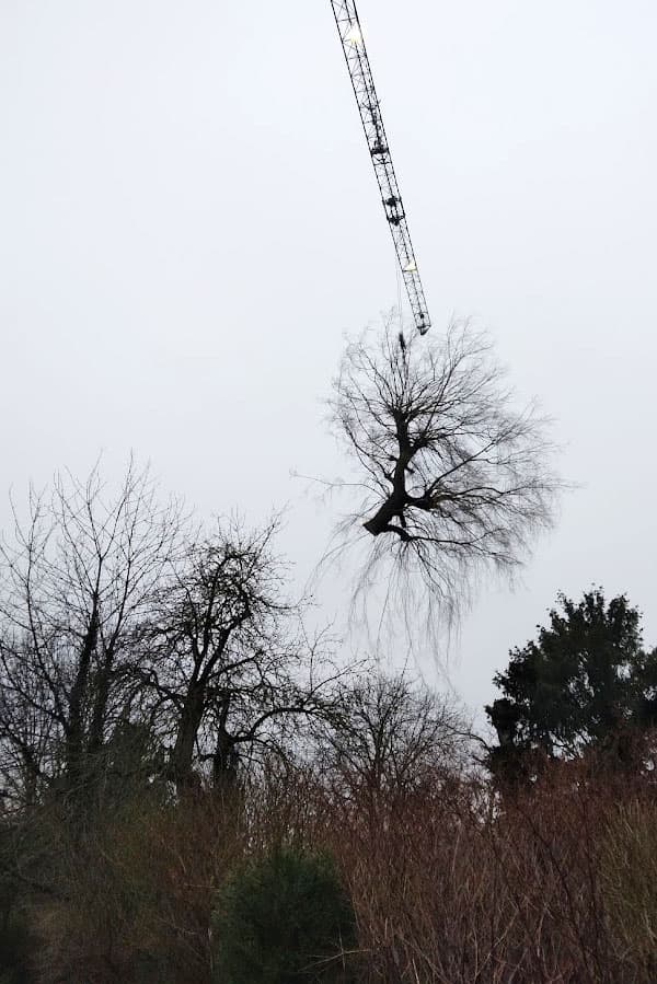 Castermant-S1-2023-09-06-3